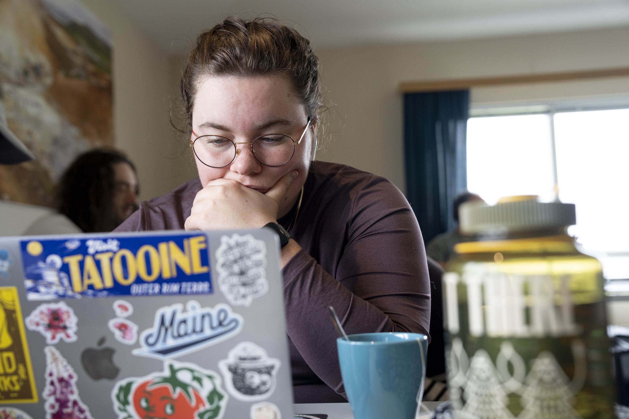 Student looking at a laptop